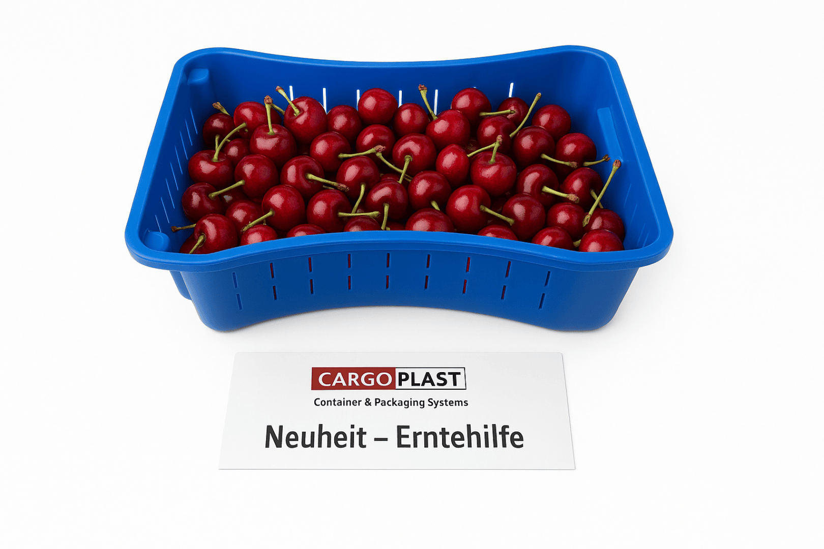 Cherry Fox – Smart technology for noticeably more efficient processes.